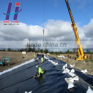 Waterproofing Membrane Fish Farm Landfill Projects HDPE Geomembrane thumbnail-1