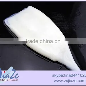 Frozen Seafood Frozen Squid Tube thumbnail-3