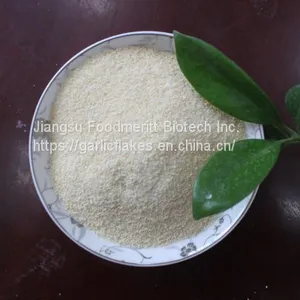 Good Quality Dehydrated Garlic Granules From China With KOSHER Certificated thumbnail-2