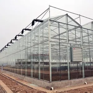 Multispan Glass Greenhouse, Commercial Glass Greenhouse for Vegetables Planting thumbnail-1