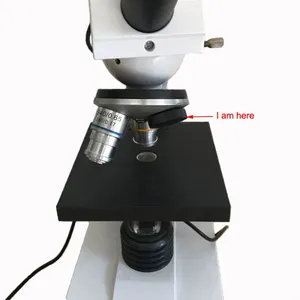Standard RMS Screw Cap Plastic Black Microscope Objective Lens Cover Microscope Objective Port Dust Cover for Protection thumbnail-2