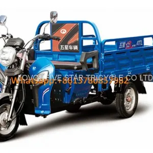 Gasoline Tricycle Cargo Loader Lovol Three Wheeler Mali Ethiopia Ghana Bukina Faso Tanzania Kenya Senegal Togo Benin Nigeira Mauritania Angola Burundi Chad Cameroon C ô te D'Ivoire Gabon Guinea Mozambique Rwanda Congo Uganda Zimbabwe thumbnail-1