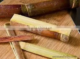 Fresh Sweet Sugar Cane From Vietnam thumbnail-1