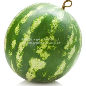 Red Flesh f1 Hybrid Watermelon Seeds thumbnail-4