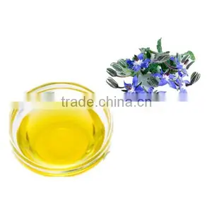 Professsional Borage Oil Whole Sale thumbnail-2