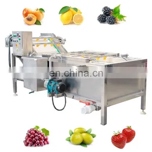 Easy Clean SUS304 Industrial Spray Air Bubble Rotary Vegetable Washer Fruit Washing Machine thumbnail-2