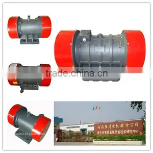 Asynchronous and Three-phase Vibration Motor Company thumbnail-3