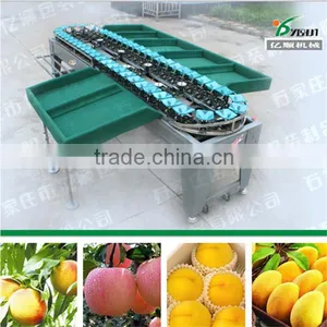 Sorter Type Onion Sorting Machine thumbnail-5