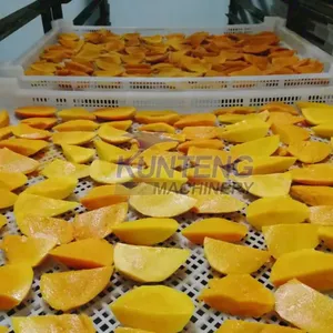 Commercial Mango Dryer Mango Dehydration Machine Mango Drying Production Line for Fruit Processing thumbnail-4