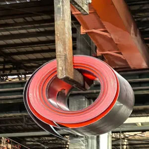 GH3044 GH3128 GH3170 Solid Solution Nickel-base Superalloy Plate Strip Bar, High Temperature Corrosion Resistant Alloy For Thermal Shield Components thumbnail-2