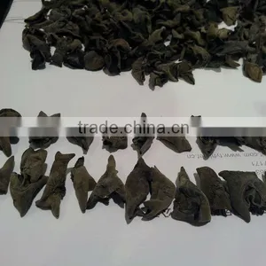 Edible Black Fungus thumbnail-1