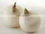 New Crop Fresh White Garlic thumbnail-1
