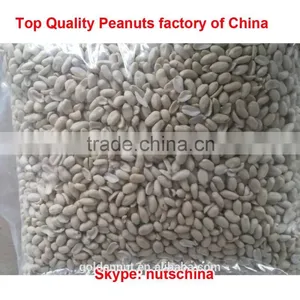 Chinese Blanched Peanuts thumbnail-1