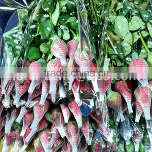 PE Roses Bud Cap Protective Tubular Packaging Sleeve Netting thumbnail-6