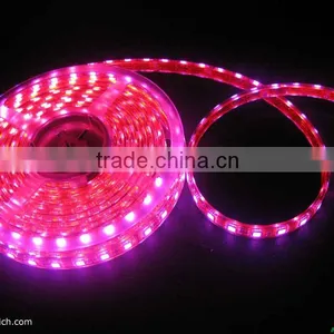 IP67 5V WS2801 Digital Led Flexible Strip Light thumbnail-1