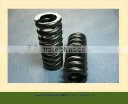 Bosch Diesel Fuel Injector Spring 2434614019 thumbnail-1