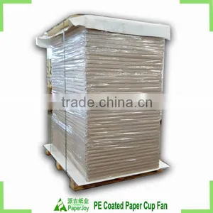 Foodgrade PE Coated Paper Sheet for Disposable Paper Cups thumbnail-1