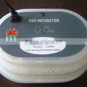 JN12 New Type Family Use Mini Egg Incubator for Sell thumbnail-1