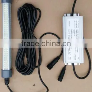 50W 100W 150W 200W 300W High Power Underwater White LED Fishing Light thumbnail-4