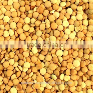Australian Green Whole Lentils thumbnail-1