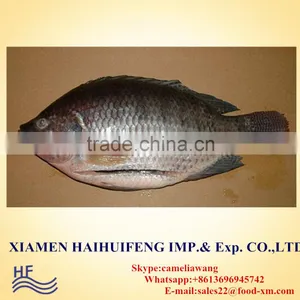 Black Tilapia Tilapia Gutted and Scaled Cleaning Tilapia thumbnail-1