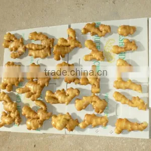 Ginger Manufacture thumbnail-4