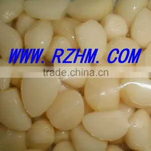 Supply Salted Garlic thumbnail-1