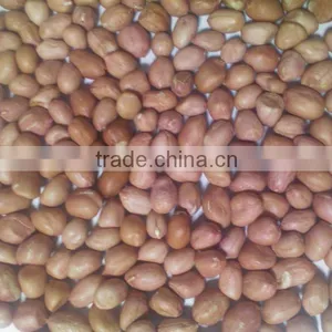 Java Peanuts thumbnail-1