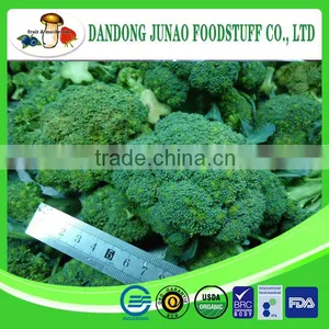 IQF Freezing Process Frozen Brands Broccoli thumbnail-1