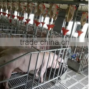 ^poultry Accessory Pig Gestation Stall for Poultry Farm House thumbnail-1