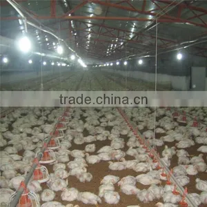 Poultry Farm Feeding Equipment thumbnail-2