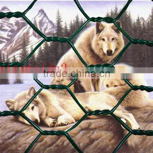 PVC Coated Chicken Netting thumbnail-1