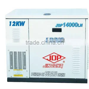 12kw Natural Gas/ LPG Generator thumbnail-1