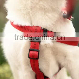 Durable Wholesale Pet Dog Leash and Harness thumbnail-4