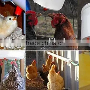 Well Experienced Automatic Poultry Drinkers, Chicken Nipple Drinker HJ-DN001 thumbnail-5