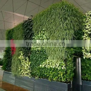 SJ1801298 Resturant Decoration Green Plant Walls thumbnail-4
