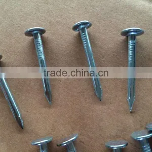 Best Quality Large Head Nails Clout Roofing Nails Flat Head Clout Nails thumbnail-1