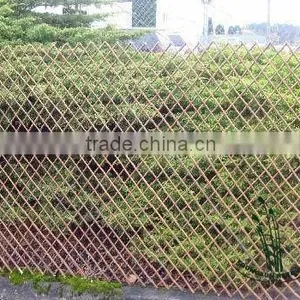 Flexible Willow Trellis thumbnail-1