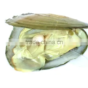 Nature Love Pearl Gift (ocean Pearl (red, Pink, Purple, Blue, Yellow) English and French Version) thumbnail-4