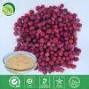 Schisandra Extract thumbnail-1