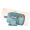 Three Phase Asynchronous Motor thumbnail-1