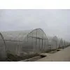 Film Greenhouse XS-FM8000TU thumbnail-1