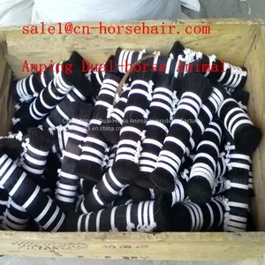 White Horse Mane thumbnail-1