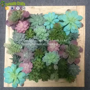 50*50cm Artificial Succulent Plants Plastic Ferns Green Grass Photo Frame Wall Decoration Flowers Home thumbnail-1