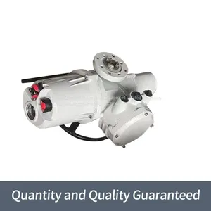 Rotoque Multi Turn Gate Valves Are Split High Temperature Resistant Actuators thumbnail-1