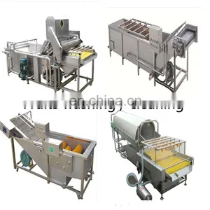 Pickles Cucumber Tomato Carrot Making Machine Equipment Pickled Vegetable Production Line thumbnail-5