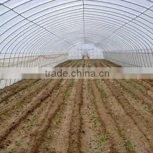 Agriculture Use HDPE Plants Protection Net thumbnail-6