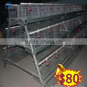 Egg Production Project Poultry Farming Equipment A Type Design Layer Chicken Cage for Sale thumbnail-1