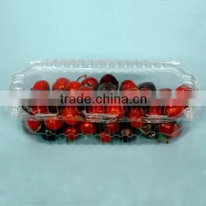 PET Plastic Cherry Box thumbnail-1