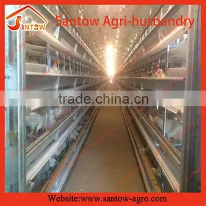 Stable Steel Structure Professional Chicken Egg Layer Cage Chicken Egg Layer Farming thumbnail-6